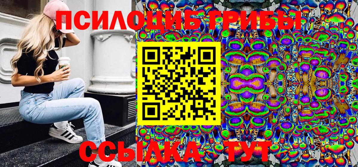 Вязьма  сколько стоит  Вход с VPN  Псилоцибиновые грибы Psilocybe 